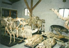Magazinraum fr das Museum 1996
