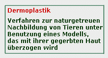 dermoplastik