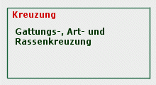 kreuzung