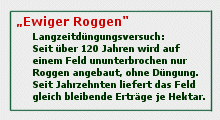 ewiger roggen