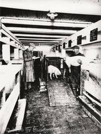 Schweinestall von 1925