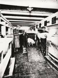 Schweinestall von 1925