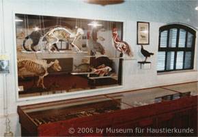 Vitrine und Schaustcke anderer Haustiere